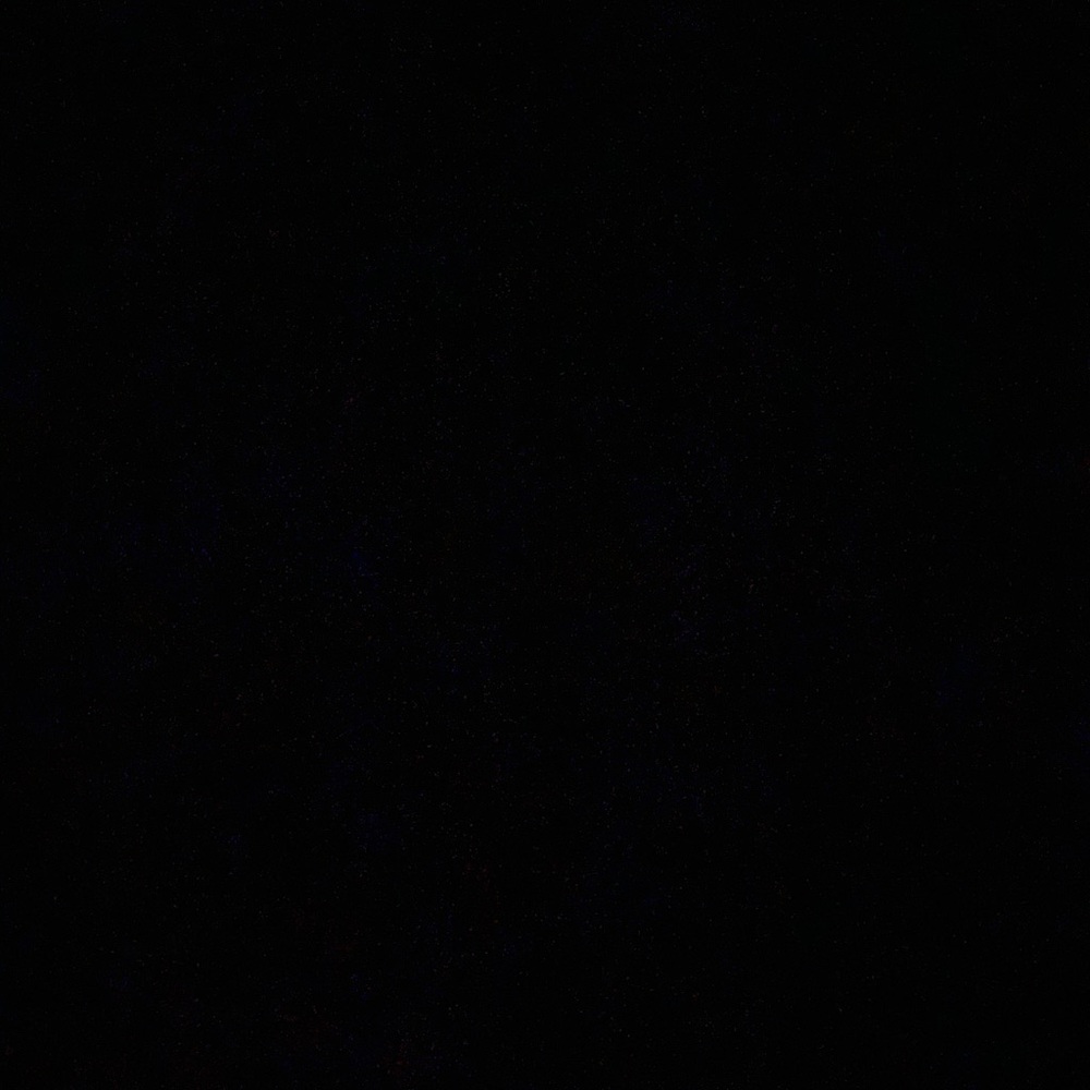 Meet your Posher, Jessie